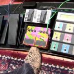 Steve_Vai_ une legende en puissance1_pedalboard