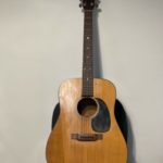 Martin D18_ebay_sounds_finder