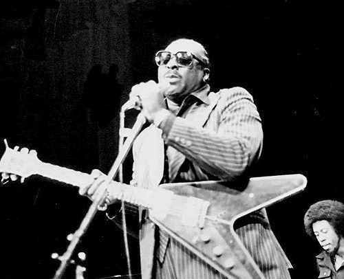 Albert_King_ et _guitare_wikipedia _ sounds_finder