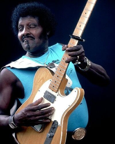 Albert Collins - Pinterest