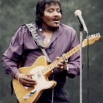 Albert_collins_telecaster_signature_sounds_finder