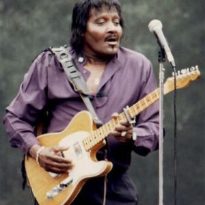 Albert_collins_telecaster_signature_sounds_finder