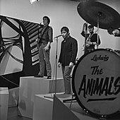 the animals - wikipedia